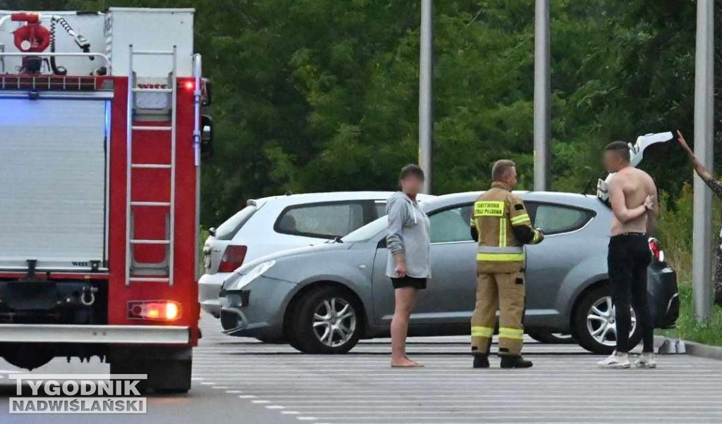 Akcja służb nad Jeziorem Tarnobrzeskim - 26.08.23