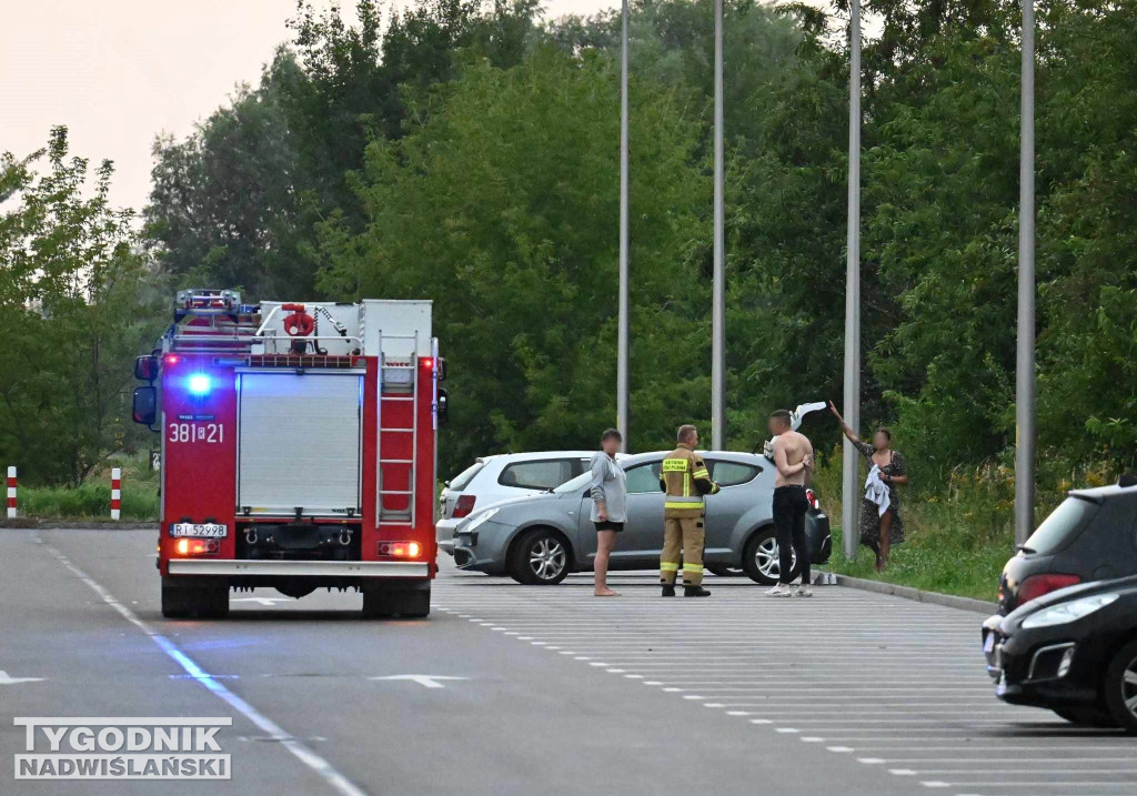 Akcja służb nad Jeziorem Tarnobrzeskim - 26.08.23