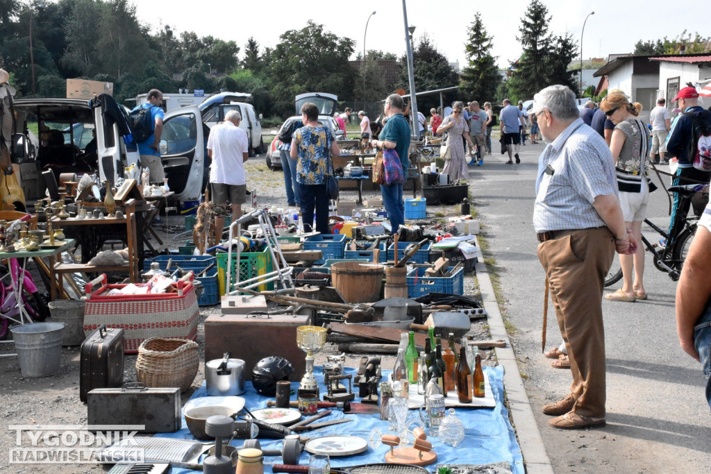 Pchli Targ - Tarnobrzeg, sierpień 2023