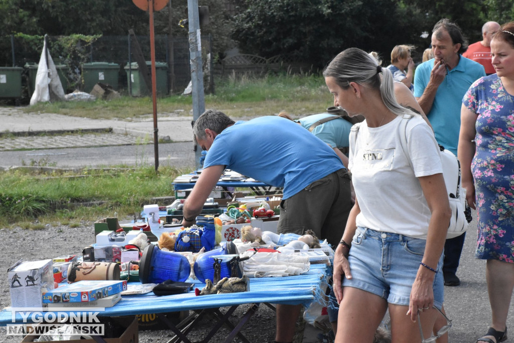 Pchli Targ - Tarnobrzeg, sierpień 2023