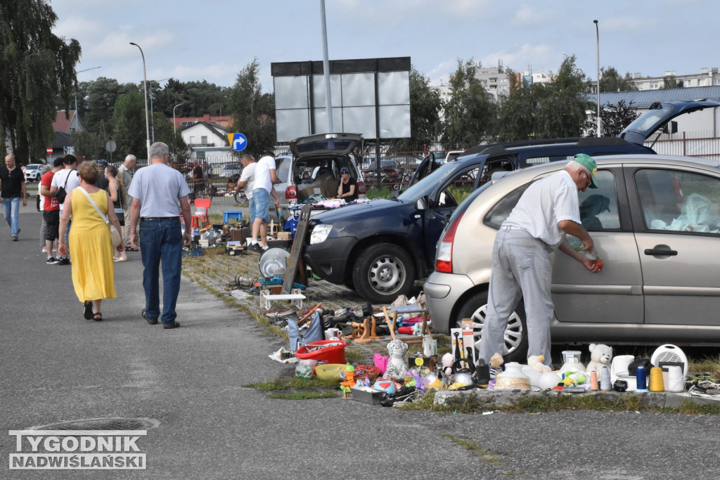 Pchli Targ - Tarnobrzeg, sierpień 2023