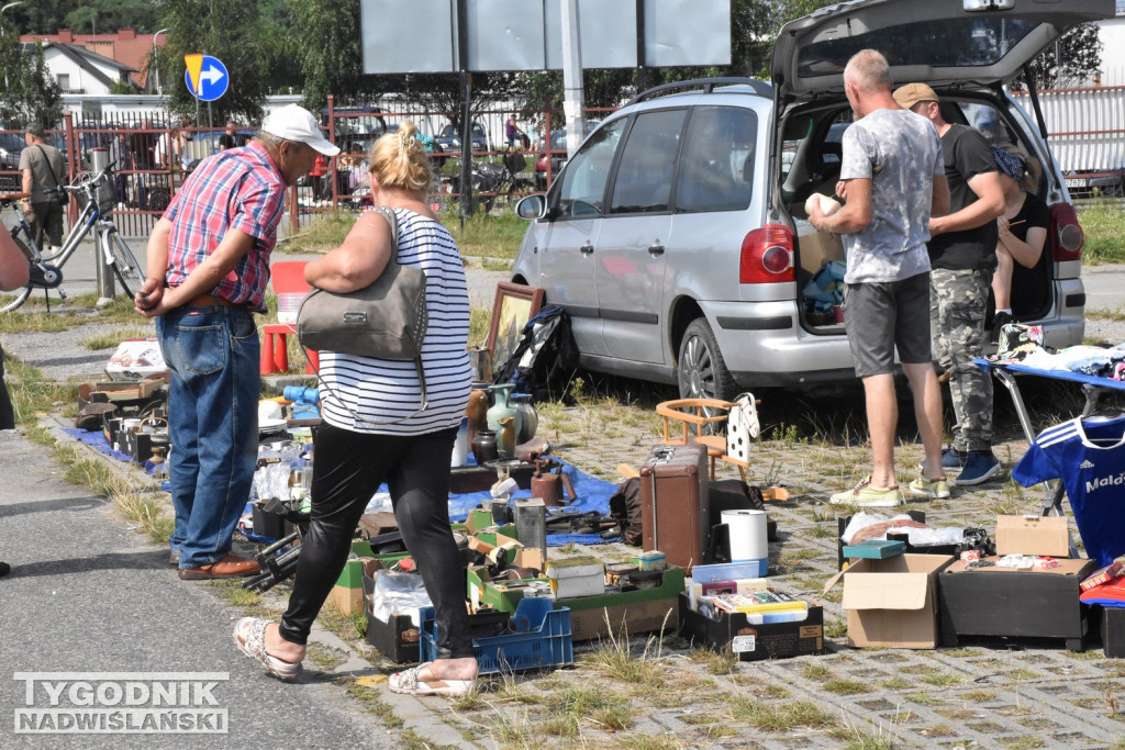 Pchli Targ - Tarnobrzeg, sierpień 2023