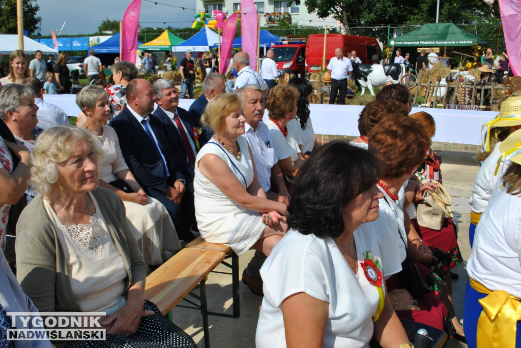 Dożynki Powiatu Staszowskiego w Połańcu