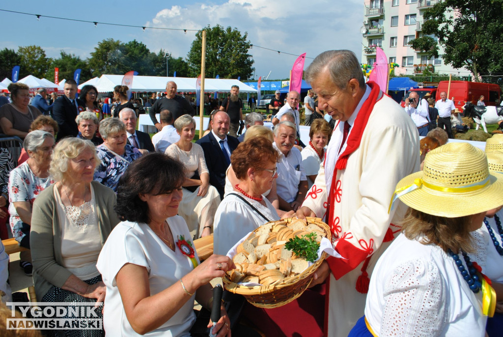Dożynki Powiatu Staszowskiego w Połańcu