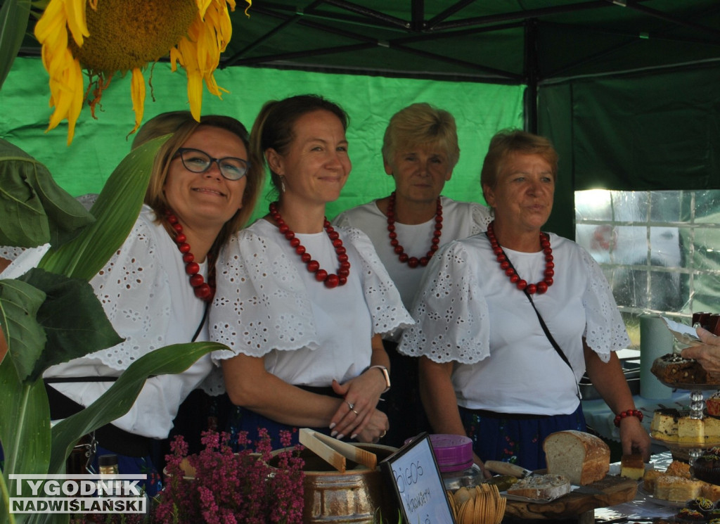 Dożynki Powiatu Staszowskiego w Połańcu