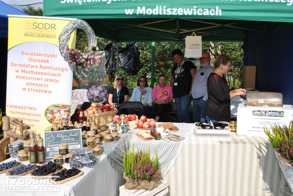 Dożynki Powiatu Staszowskiego w Połańcu