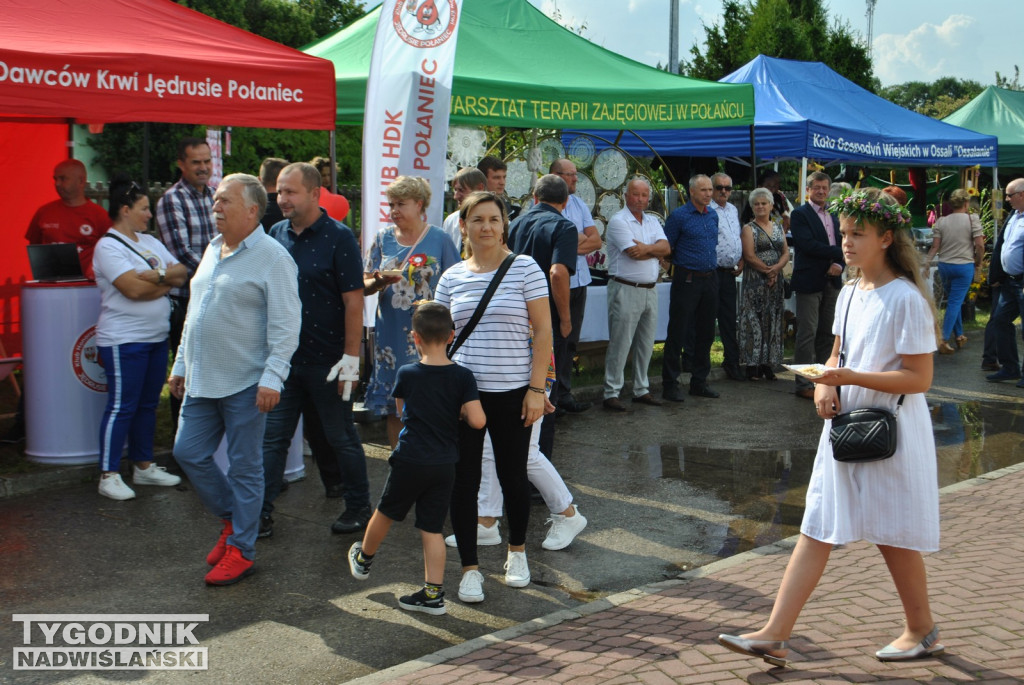 Dożynki Powiatu Staszowskiego w Połańcu