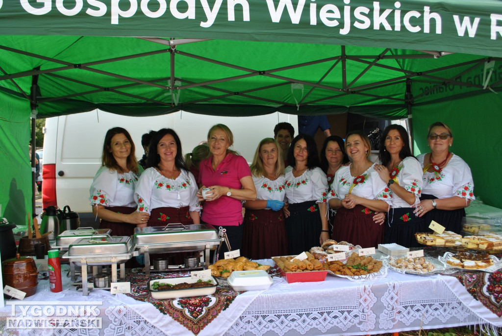 Dożynki Powiatu Staszowskiego w Połańcu