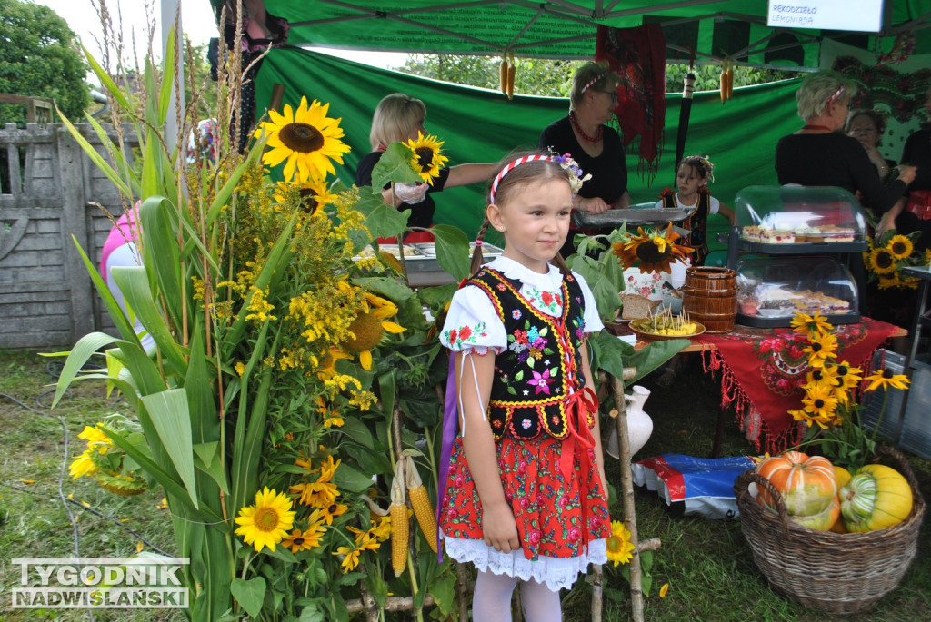 Dożynki Powiatu Staszowskiego w Połańcu