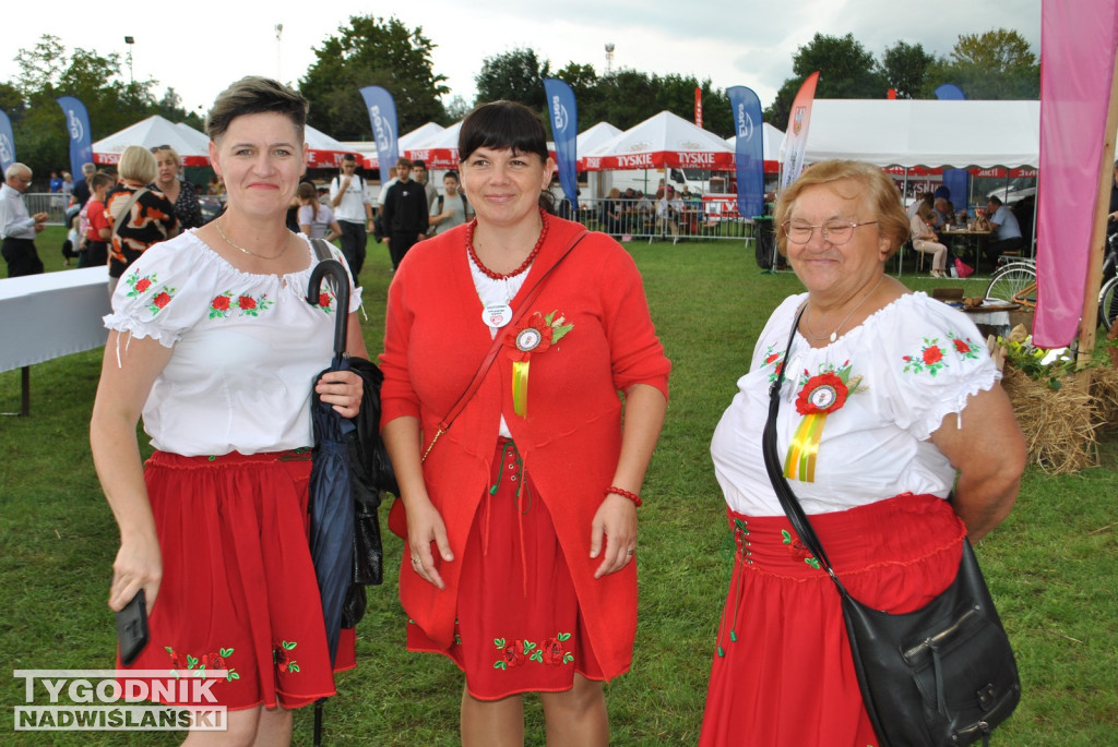 Dożynki Powiatu Staszowskiego w Połańcu