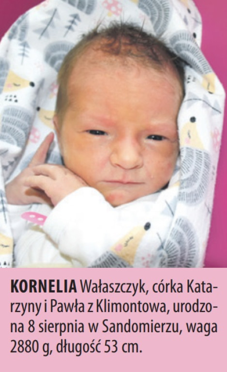 Zdjęcia dzieci urodzonych w naszych szpitalach