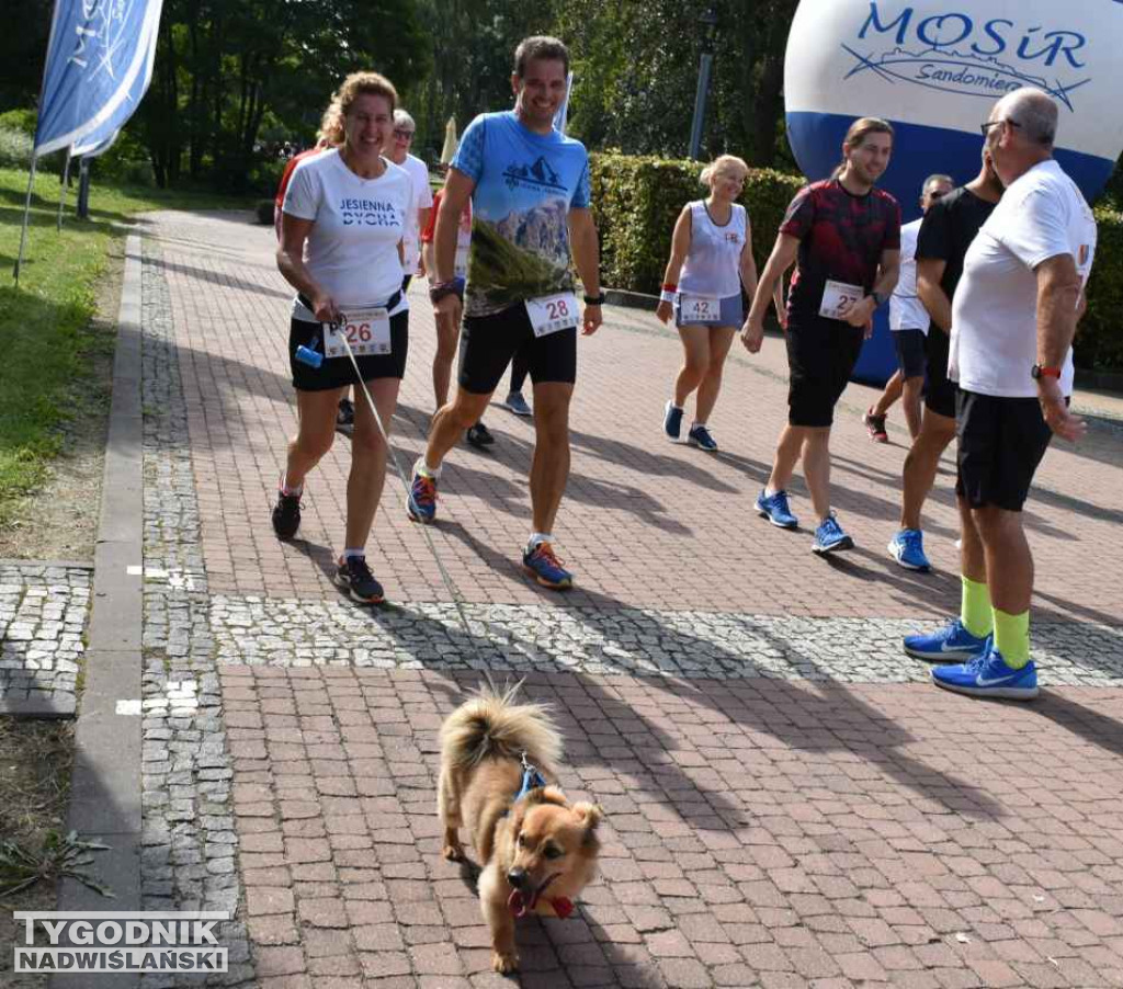 Obchody jubileuszu partnerstwa miast