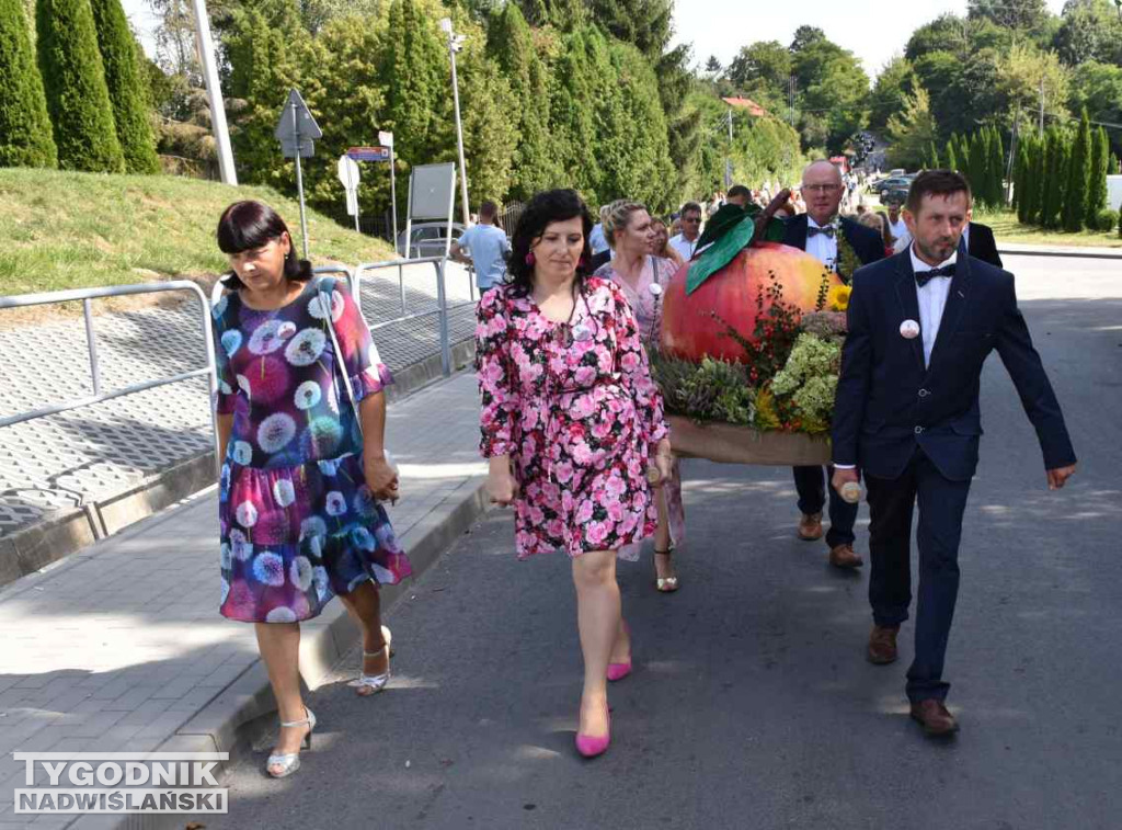 Europejskie Święto Jabłka w Obrazowie