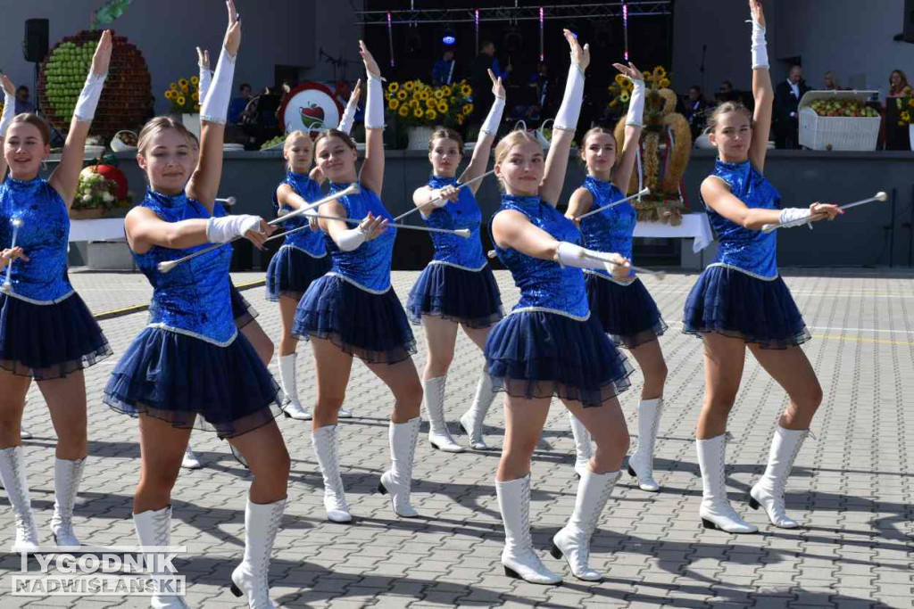 Europejskie Święto Jabłka w Obrazowie