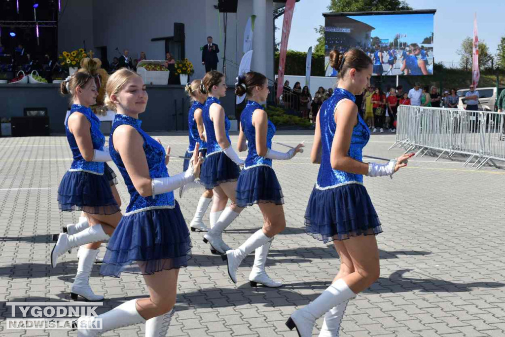 Europejskie Święto Jabłka w Obrazowie