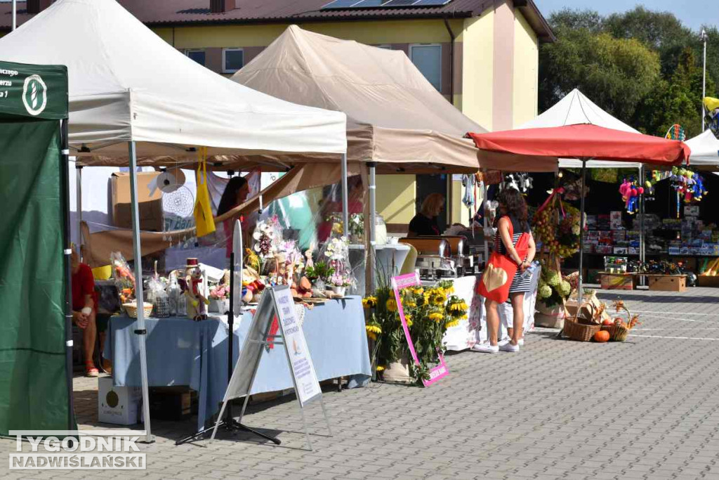 Europejskie Święto Jabłka w Obrazowie