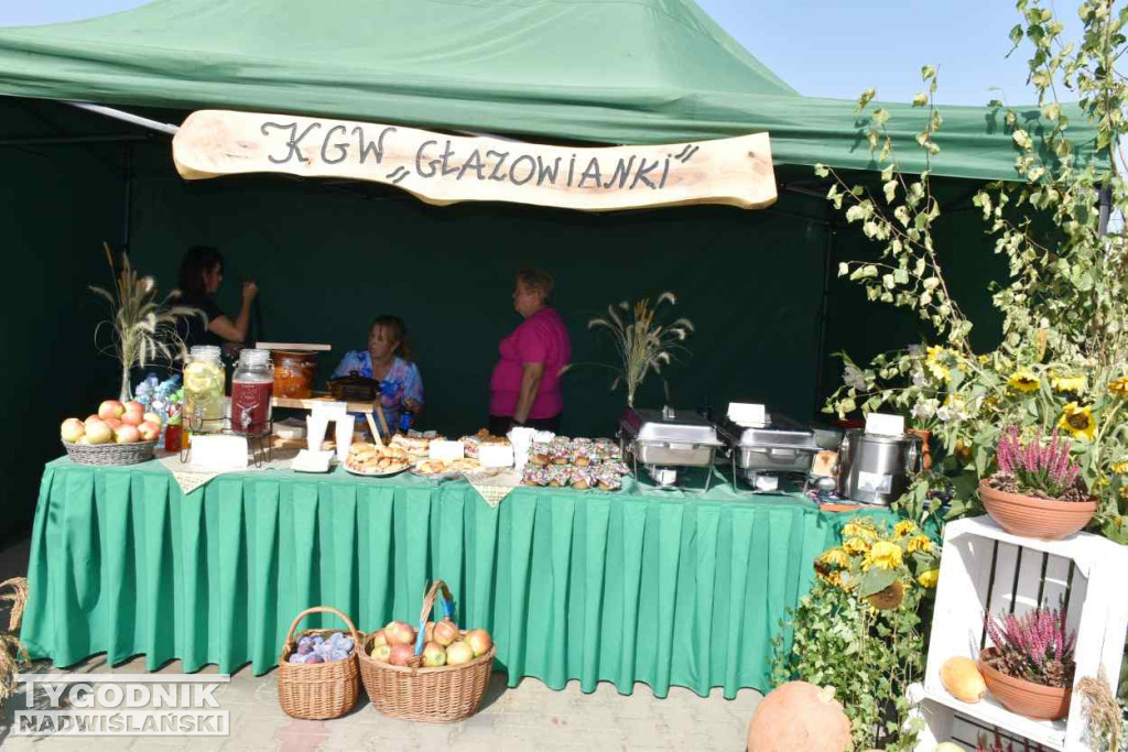 Europejskie Święto Jabłka w Obrazowie