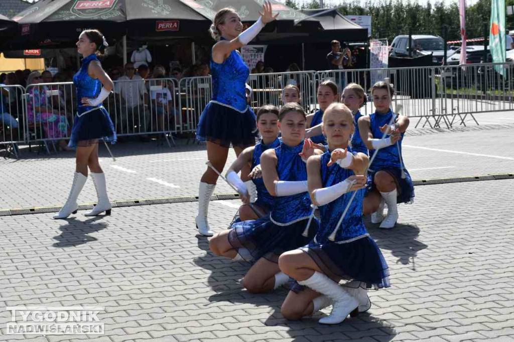 Europejskie Święto Jabłka w Obrazowie