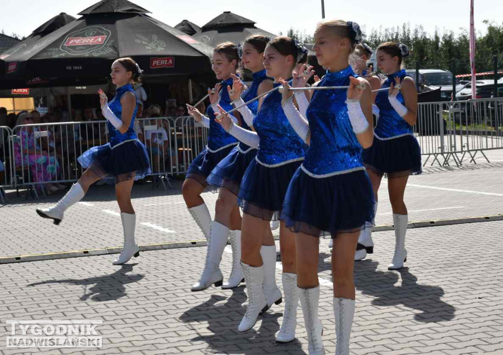 Europejskie Święto Jabłka w Obrazowie