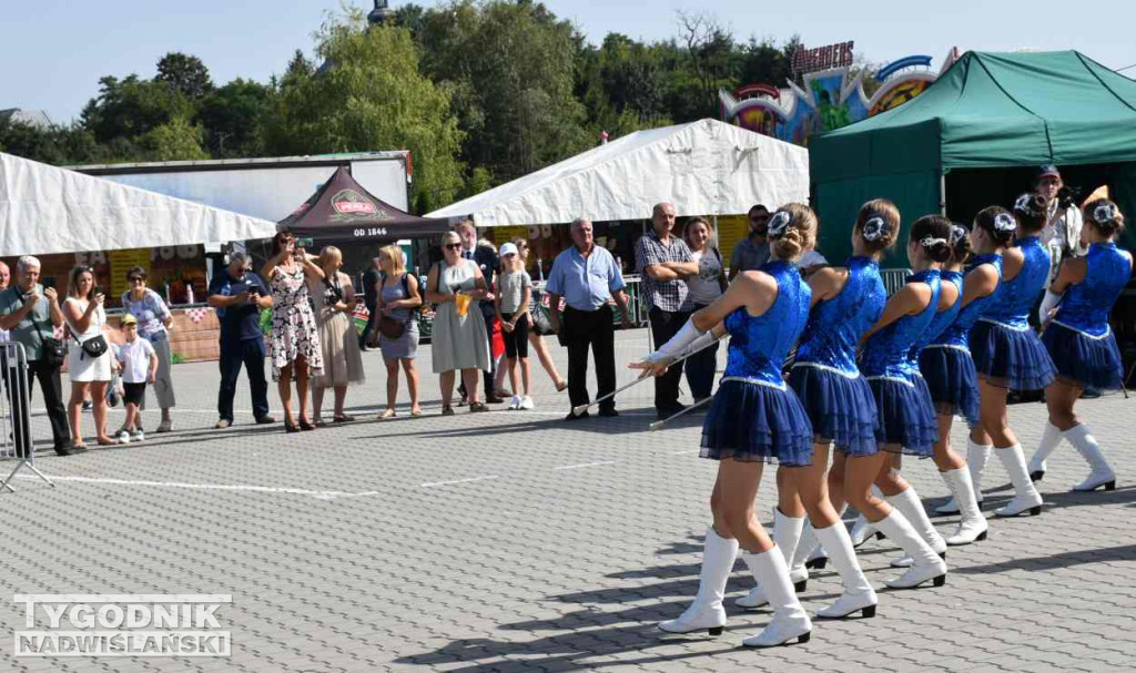Europejskie Święto Jabłka w Obrazowie