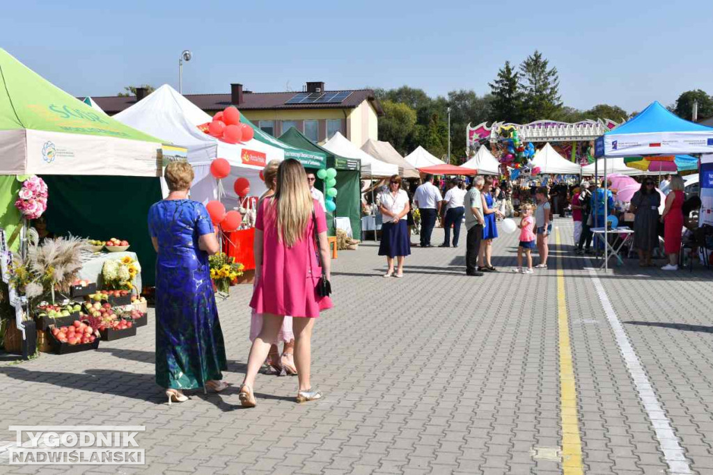 Europejskie Święto Jabłka w Obrazowie