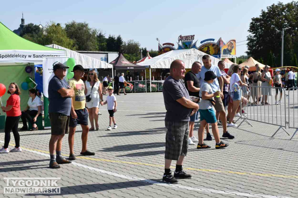 Europejskie Święto Jabłka w Obrazowie