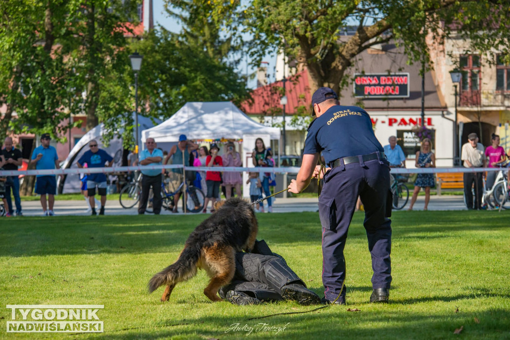 Dworzec PKP Rozwadów i Piknik Kolejarski