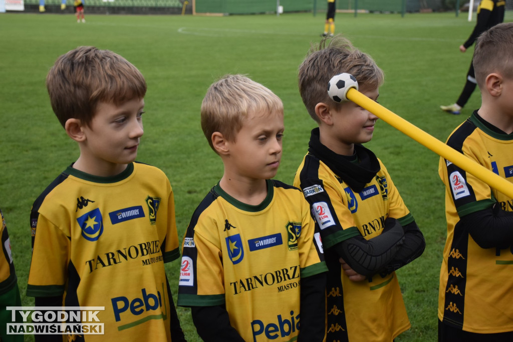 Siarka Tarnobrzeg – Wisłoka Dębica