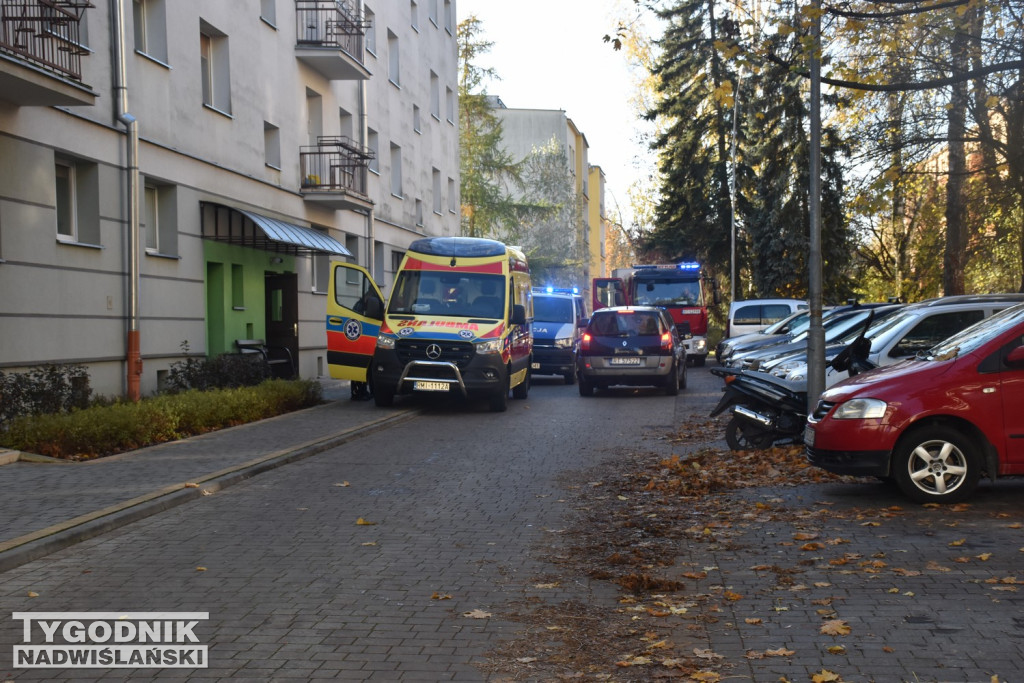 Działania służb przy ul. Waryńskiego w Tarnobrzegu