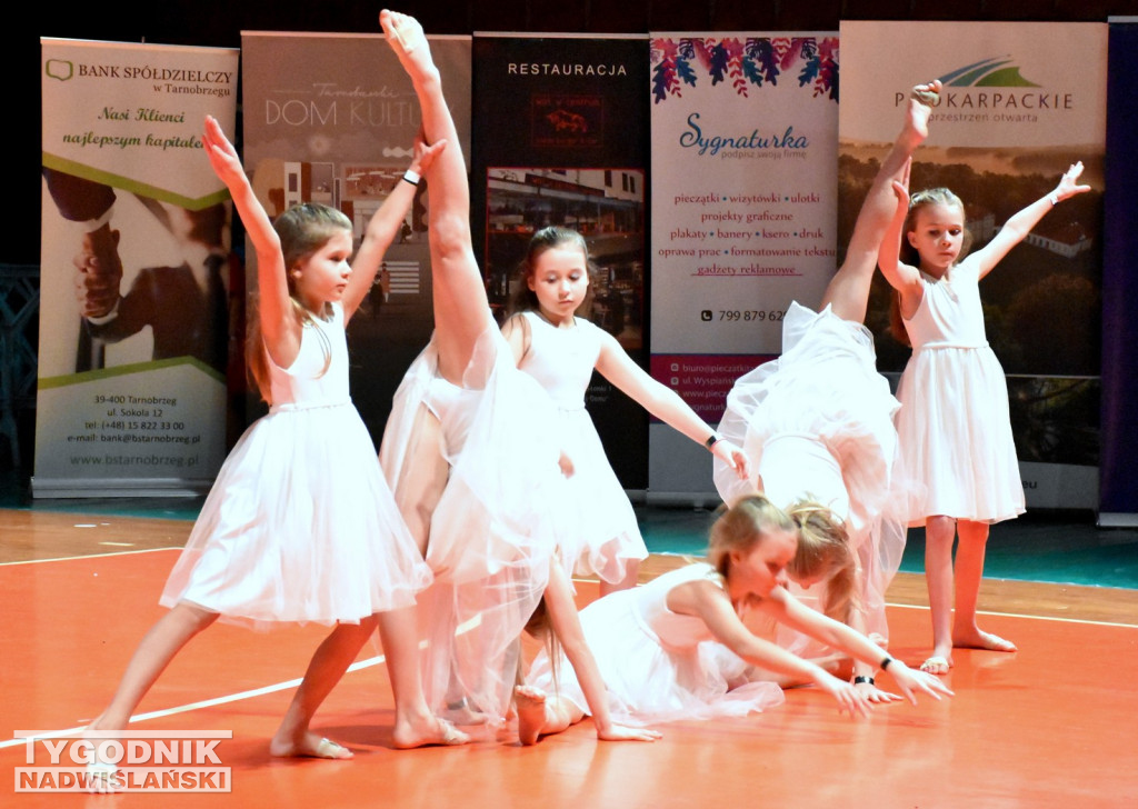 Festiwal Tańca Art Dance w Tarnobrzegu
