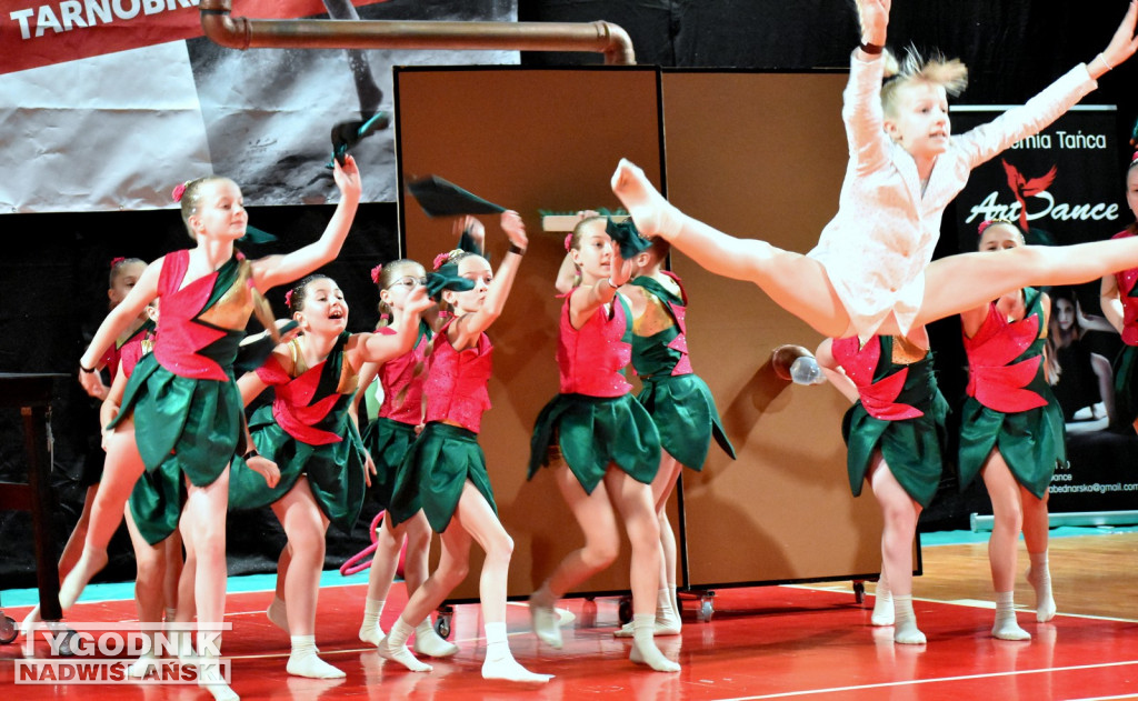 Festiwal Tańca Art Dance w Tarnobrzegu