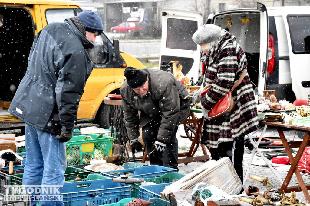 Pchli targ w Tarnobrzegu - listopad 2023