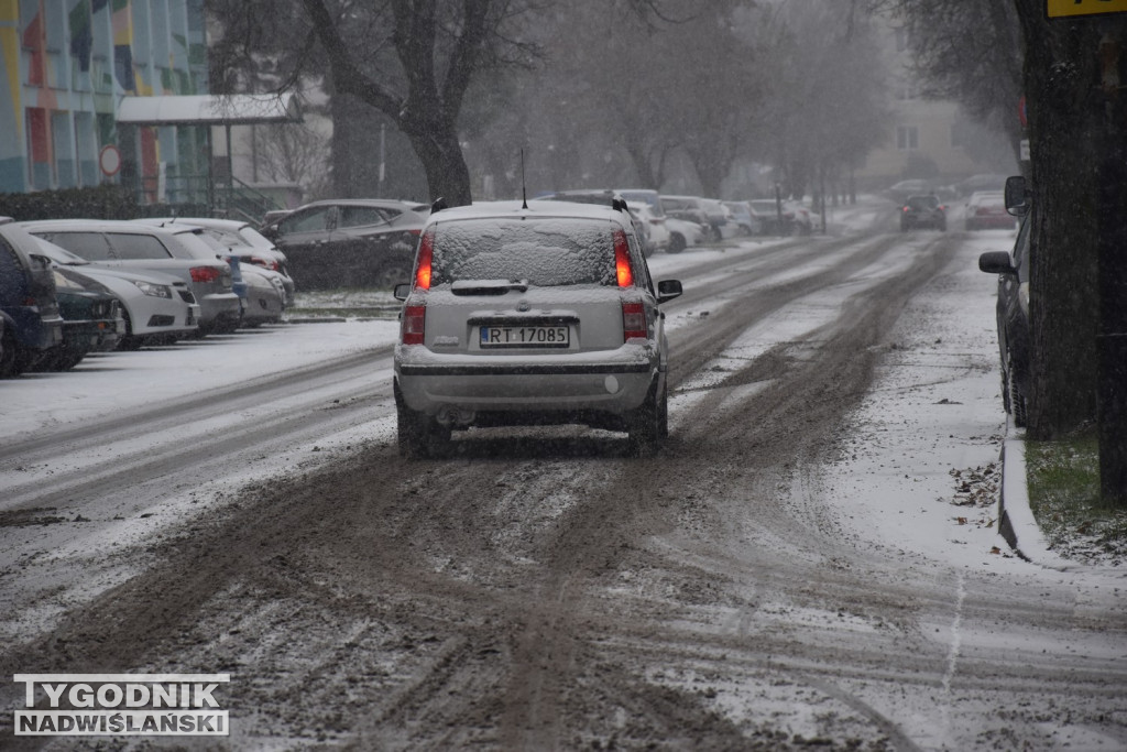 Opady śniegu w Tarnobrzegu