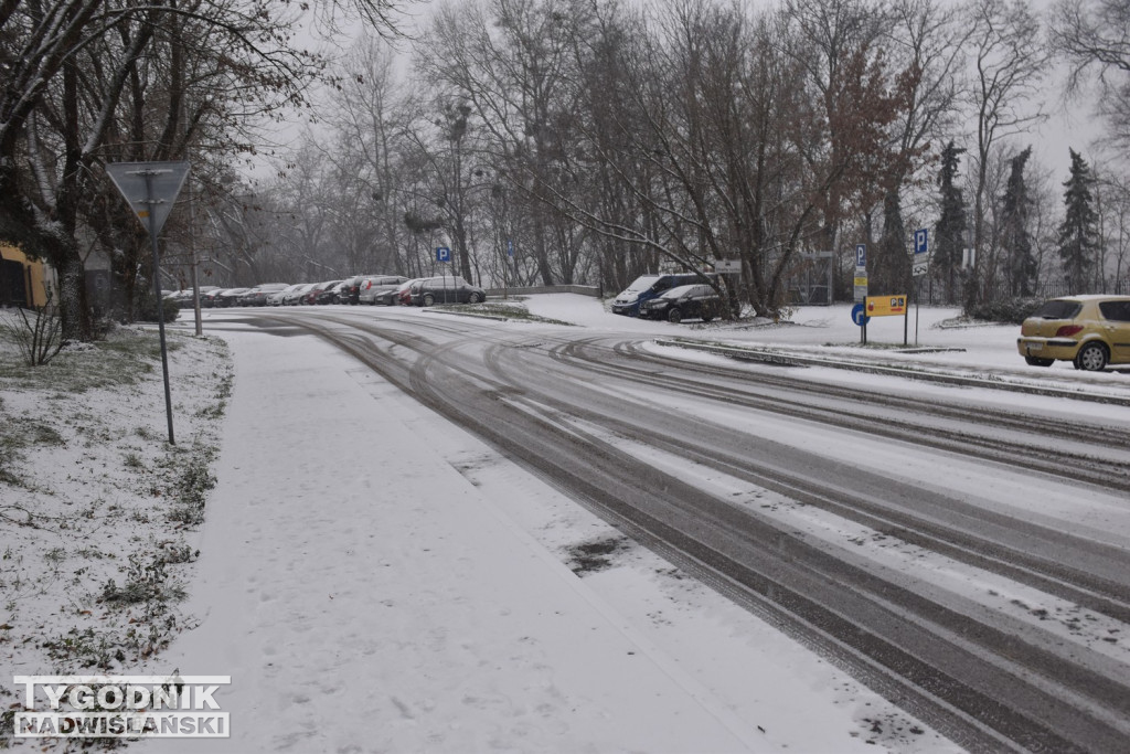 Opady śniegu w Tarnobrzegu