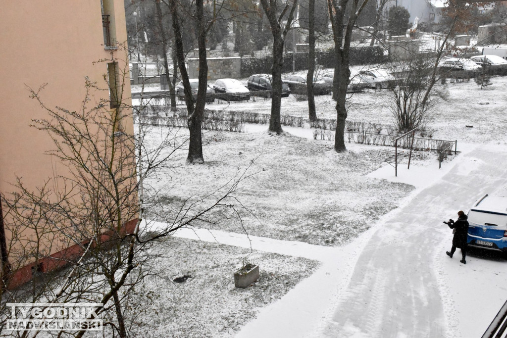 Opady śniegu w Tarnobrzegu