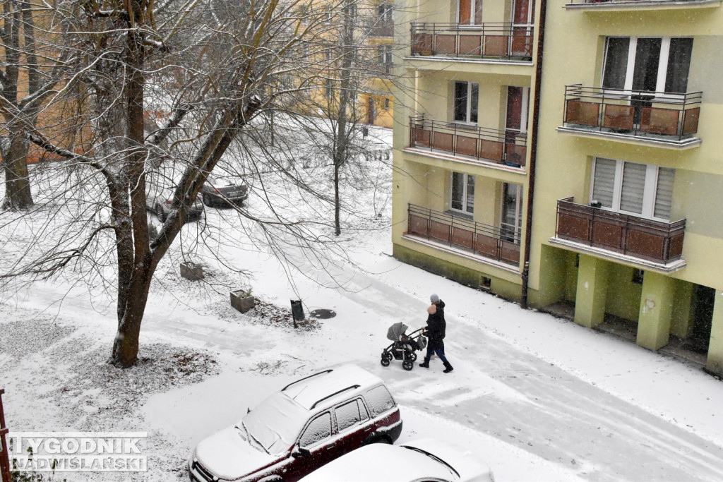 Opady śniegu w Tarnobrzegu
