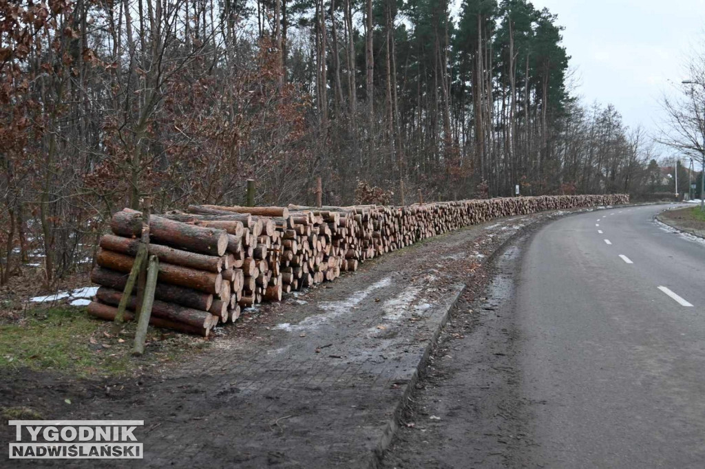 Wycinka drzew na tarnobrzeskim osiedlu Zakrzów