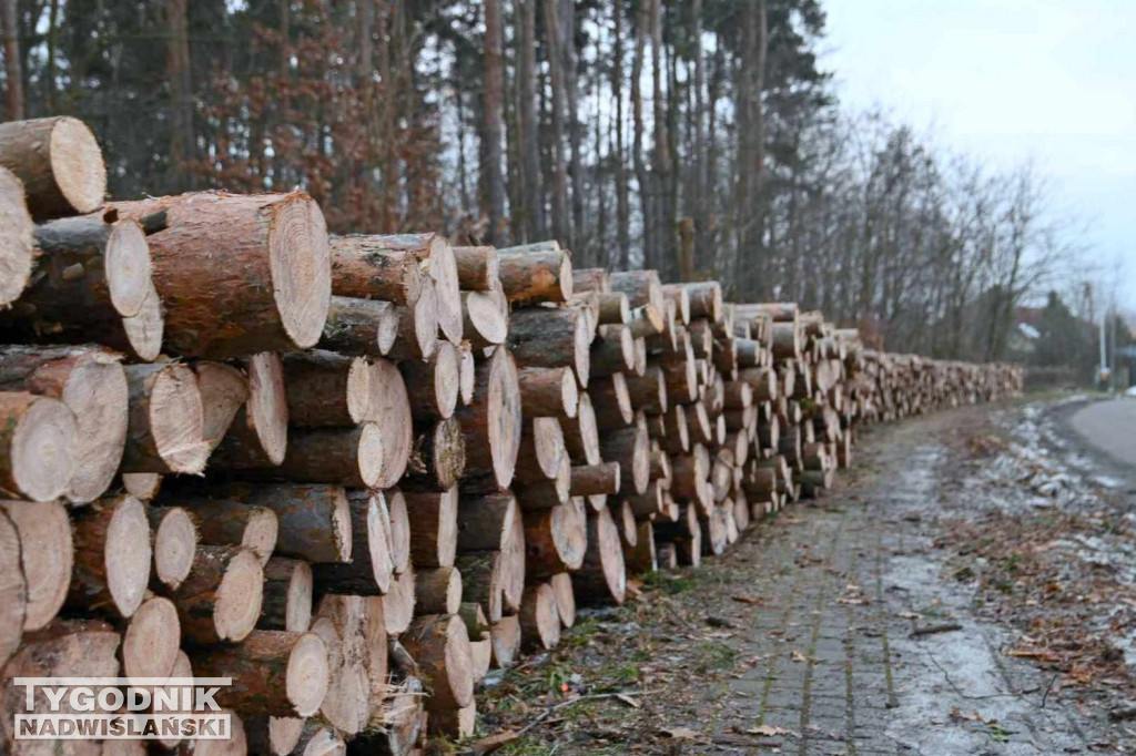 Wycinka drzew na tarnobrzeskim osiedlu Zakrzów