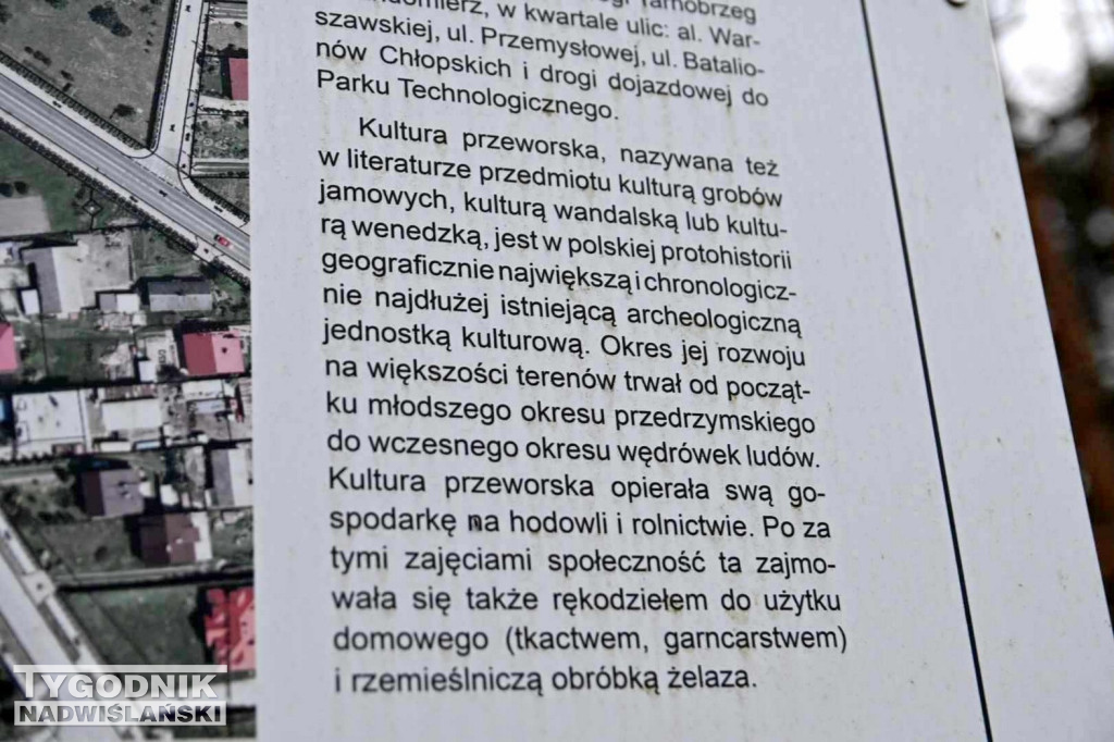 Wycinka drzew na tarnobrzeskim osiedlu Zakrzów