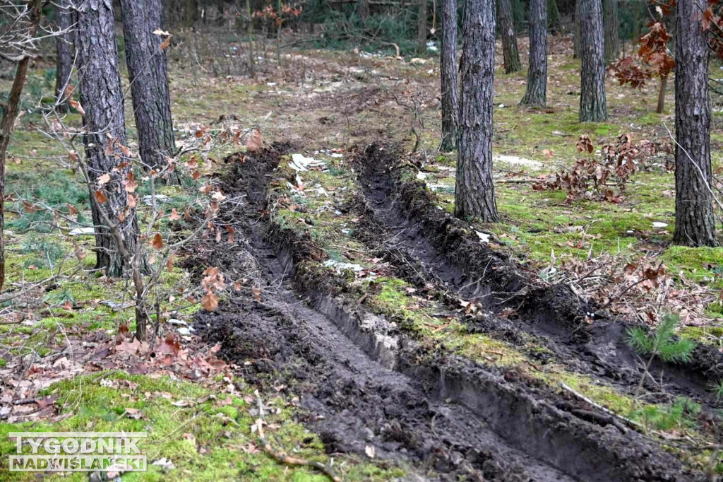 Wycinka drzew na tarnobrzeskim osiedlu Zakrzów