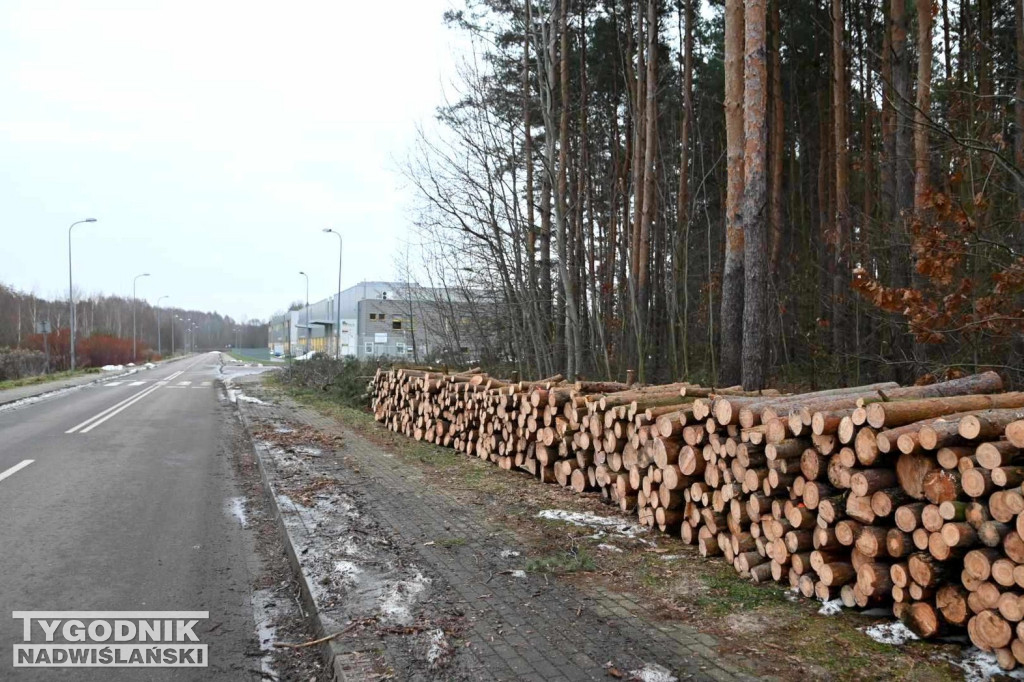 Wycinka drzew na tarnobrzeskim osiedlu Zakrzów