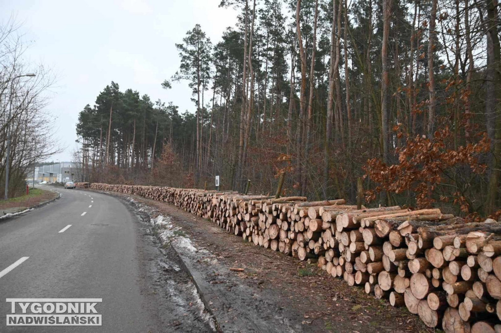 Wycinka drzew na tarnobrzeskim osiedlu Zakrzów