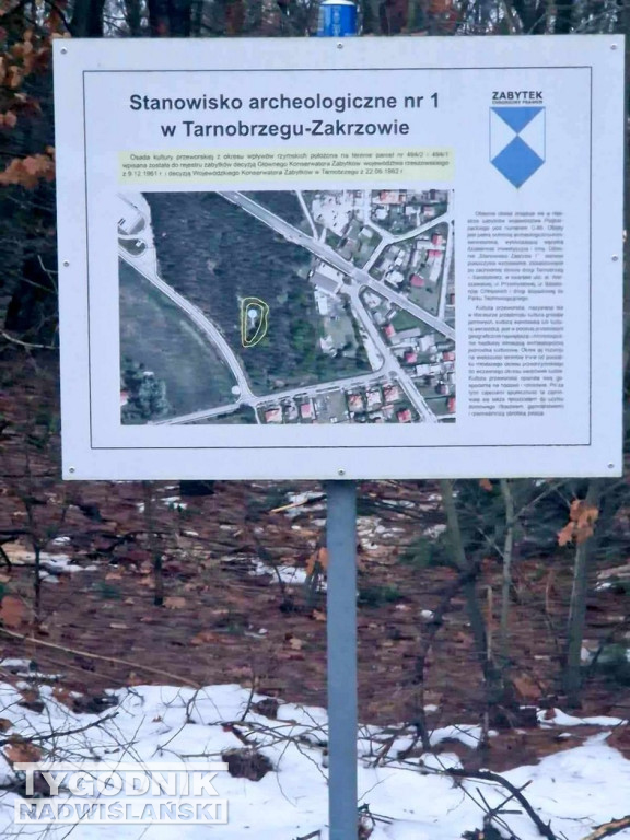 Wycinka drzew na tarnobrzeskim osiedlu Zakrzów