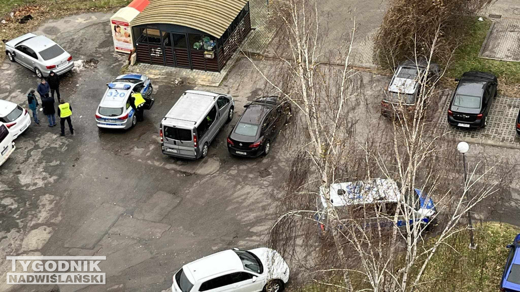 Policja na osiedlu Serbinów