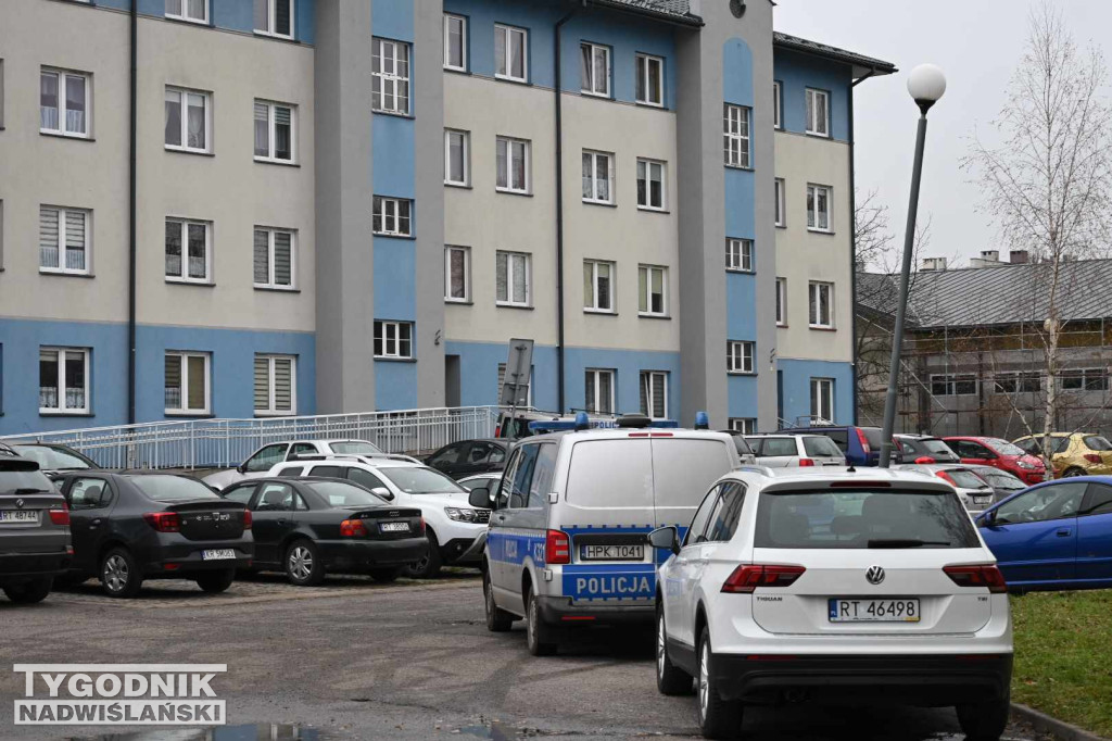 Policja na osiedlu Serbinów