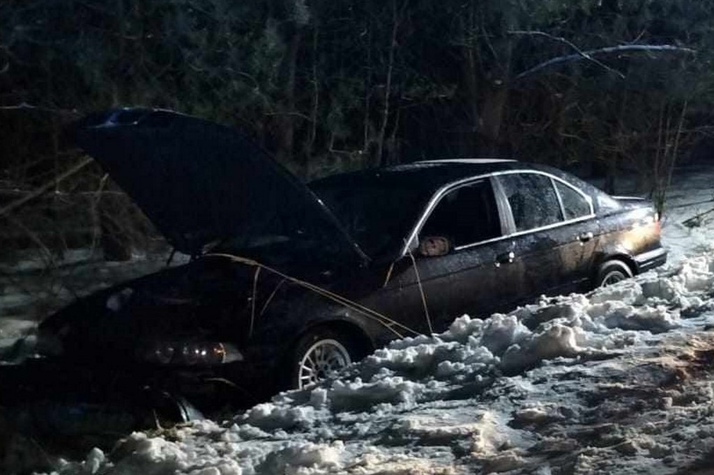 W powiecie staszowskim sarna wybiegła pod auto
