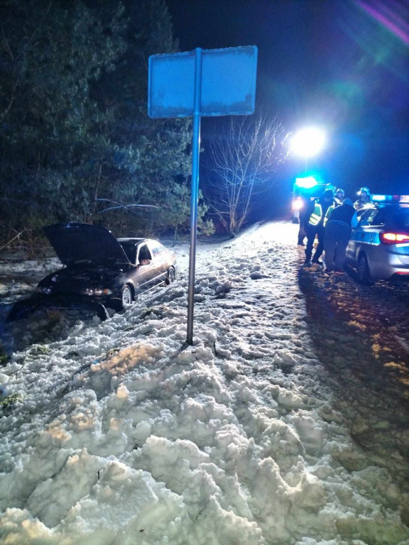 W powiecie staszowskim sarna wybiegła pod auto