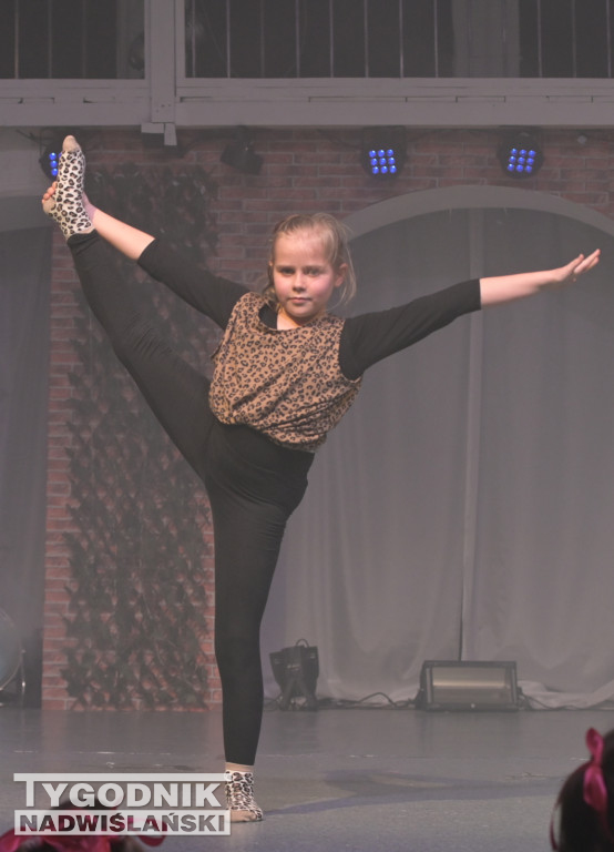 Koncert noworoczny FRAM 2024