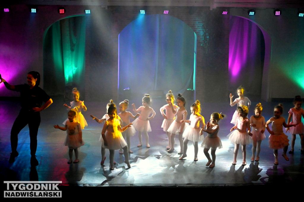 Koncert noworoczny FRAM 2024