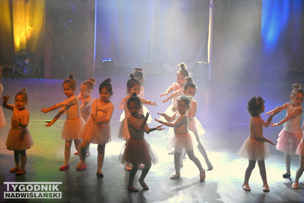 Koncert noworoczny FRAM 2024